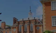 home-university-hero-bg