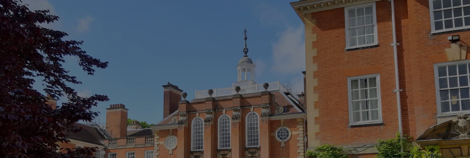 home-university-hero-bg